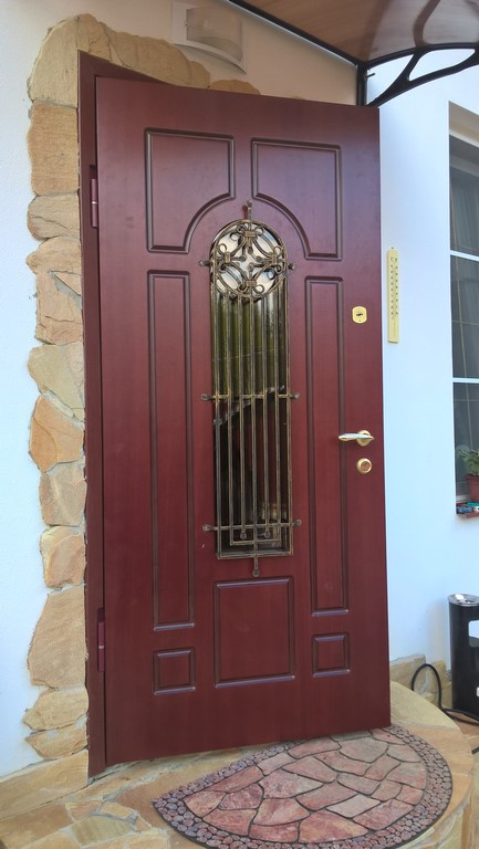 Железные двери для частного дома фото